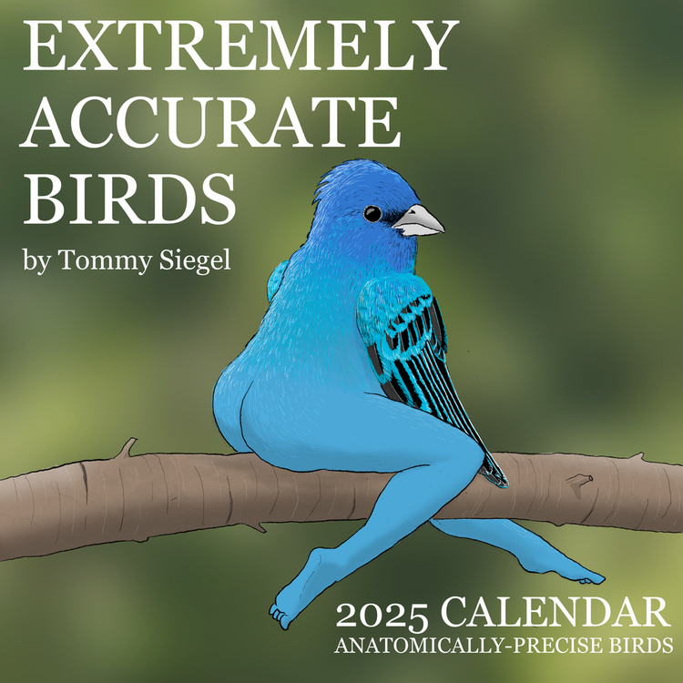 2025 CALENDAR OF EXTREMELY ACCURATE BIRDS