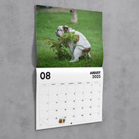 2025 Calendar Prank: Cute Puppies / Pooping