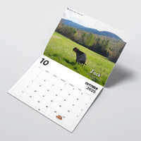 2025 Calendar: Dogs Pooping in Beautiful Places