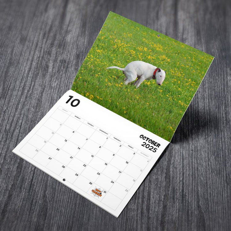 2025 Calendar Prank: Cute Puppies / Pooping