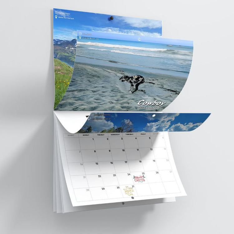 2025 Calendar: Dogs Pooping in Beautiful Places