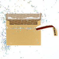 Glitter Trap Kraft Envelope (1-Pack)