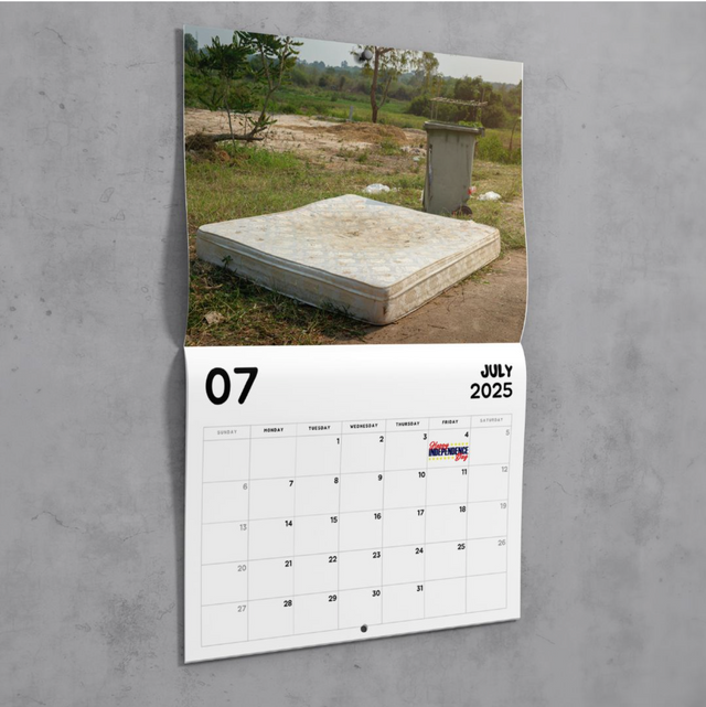 2025 Abandoned Mattresses Calendar